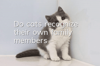 Do cats recognize their own family members?
