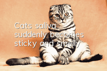 Cat's saliva suddenly becomes sticky and smelly