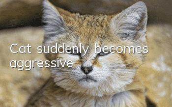 Cat suddenly becomes aggressive