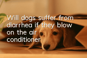 Will dogs suffer from diarrhea if they blow on the air conditioner?