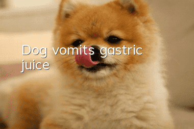Dog vomits gastric juice