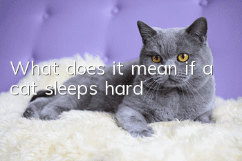 What does it mean if a cat sleeps hard?