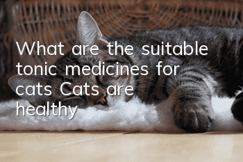 What are the suitable tonic medicines for cats? Cats are healthy!