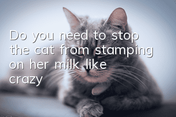 Do you need to stop the cat from stamping on her milk like crazy?