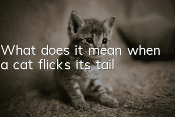 What does it mean when a cat flicks its tail?
