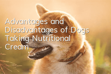 Advantages and Disadvantages of Dogs Taking Nutritional Cream