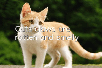Cat's claws are rotten and smelly