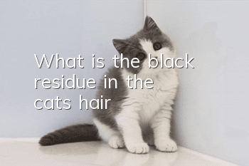 What is the black residue in the cat's hair?