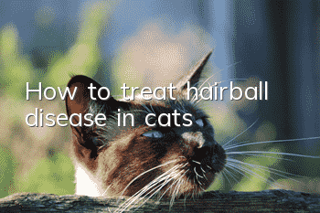 How to treat hairball disease in cats