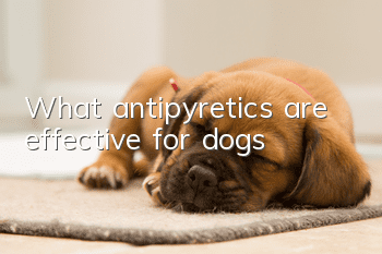 What antipyretics are effective for dogs?