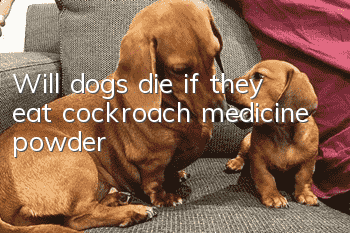 Will dogs die if they eat cockroach medicine powder?