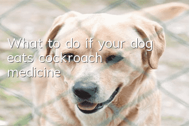 What to do if your dog eats cockroach medicine