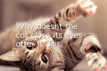 Why doesn't the cat close its eyes after it dies?
