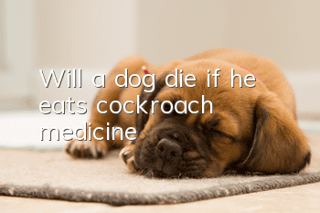 Will a dog die if he eats cockroach medicine?