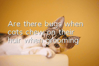 Are there bugs when cats chew on their hair when grooming?