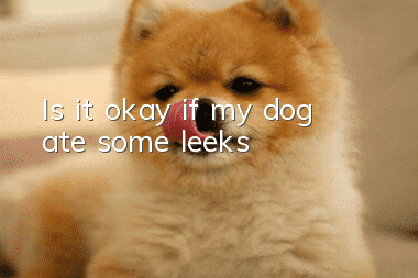 Is it okay if my dog ate some leeks?