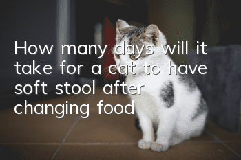 How many days will it take for a cat to have soft stool after changing food?