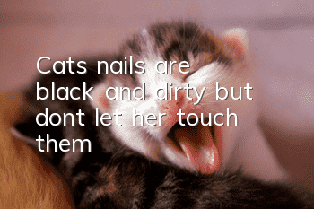 Cat’s nails are black and dirty, but don’t let her touch them