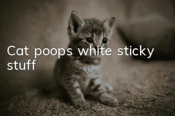 Cat poops white sticky stuff