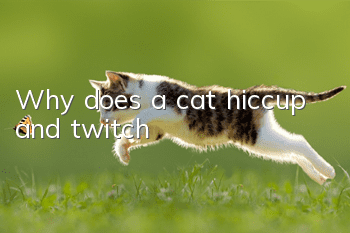 Why does a cat hiccup and twitch?