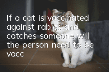 If a cat is vaccinated against rabies and catches someone, will the person need to be vaccinated?