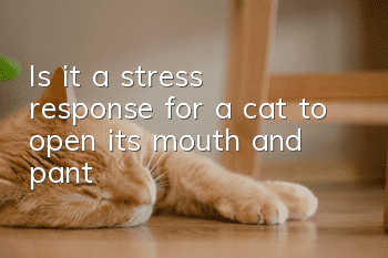 Is it a stress response for a cat to open its mouth and pant?
