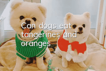 Can dogs eat tangerines and oranges?