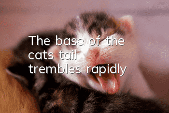 The base of the cat's tail trembles rapidly