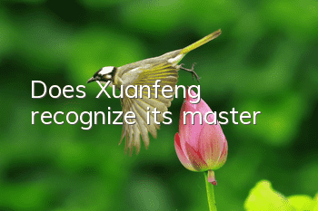 Does Xuanfeng recognize its master?
