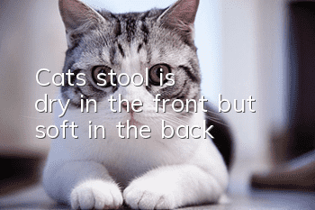Cat's stool is dry in the front but soft in the back