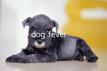 dog fever