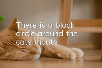 There is a black circle around the cat's mouth