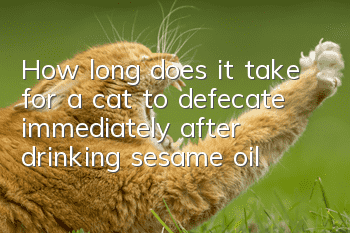 How long does it take for a cat to defecate immediately after drinking sesame oil?