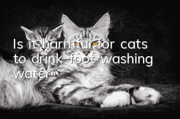Is it harmful for cats to drink foot washing water?