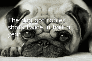 The dog got rabies shots twice in half a year