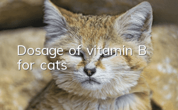 Dosage of vitamin B for cats