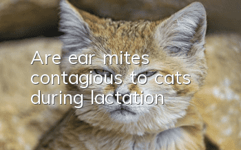 Are ear mites contagious to cats during lactation?