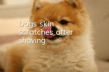 Dog's skin scratches after shaving
