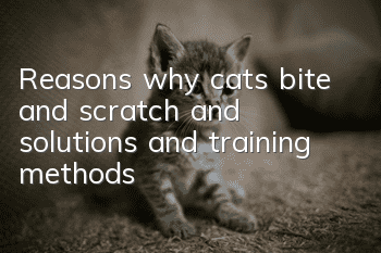 Reasons why cats bite and scratch and solutions and training methods