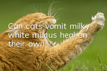 Can cats vomit milky white mucus heal on their own?