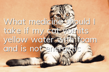 What medicine should I take if my cat vomits yellow water with foam and is not energetic?