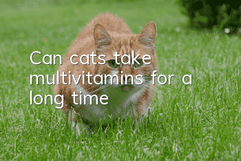 Can cats take multivitamins for a long time?