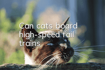 Can cats board high-speed rail trains?