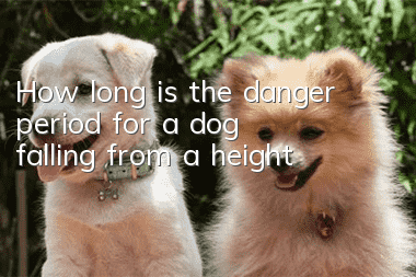 How long is the danger period for a dog falling from a height?