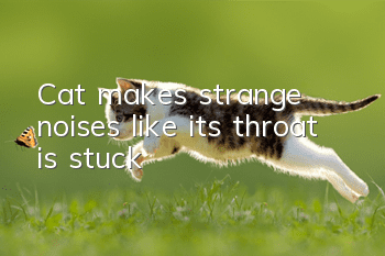 Cat makes strange noises like its throat is stuck
