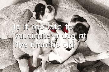 Is it too late to vaccinate a dog at five months old?