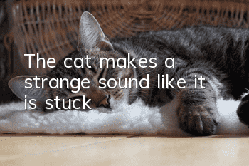 The cat makes a strange sound like it is stuck