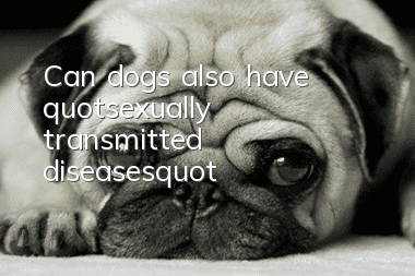 Can dogs also have "sexually transmitted diseases"?