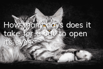 How many days does it take for a cat to open its eyes?
