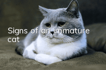Signs of an immature cat